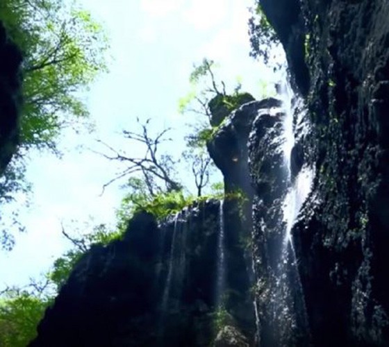 青山綠水，白龍江畔江畔息白鷺，兩岸綠橄欖入眼的都是純樸自然枝上花開(kāi)，春來(lái)水暖魚(yú)蝦戲水，鳥(niǎo)語(yǔ)花香心中充滿(mǎn)著舒暢之感祥宇生態(tài)產(chǎn)業(yè)園，位于隴南市武..